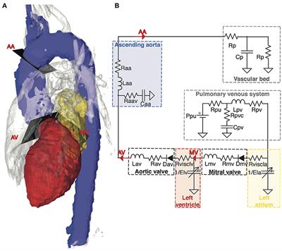 Non-invasive Assessment of Systolic and Diastolic Cardiac Function During Rest and Stress Conditions Using an Integrated Image-Modeling Approach